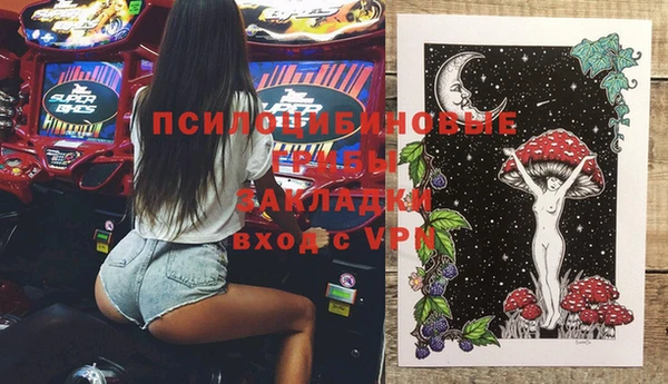 шишки Карталы
