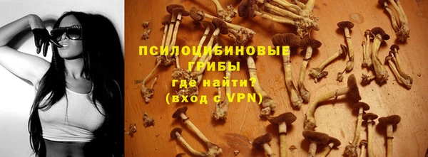 шишки Карталы